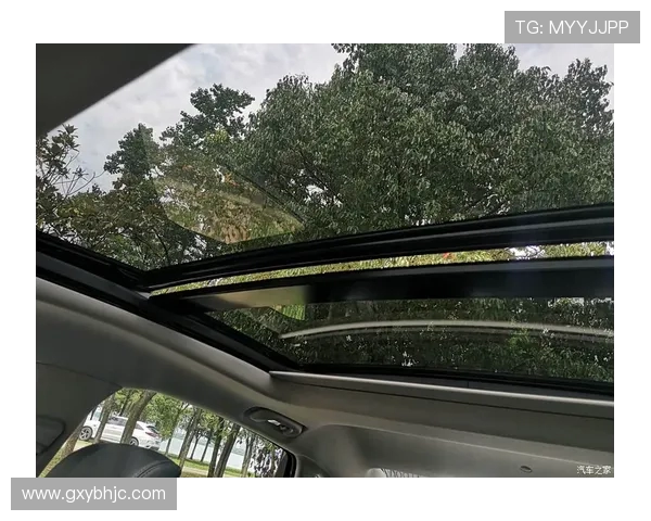 武汉飞盘队个人能力深度解析与团队协作的完美结合